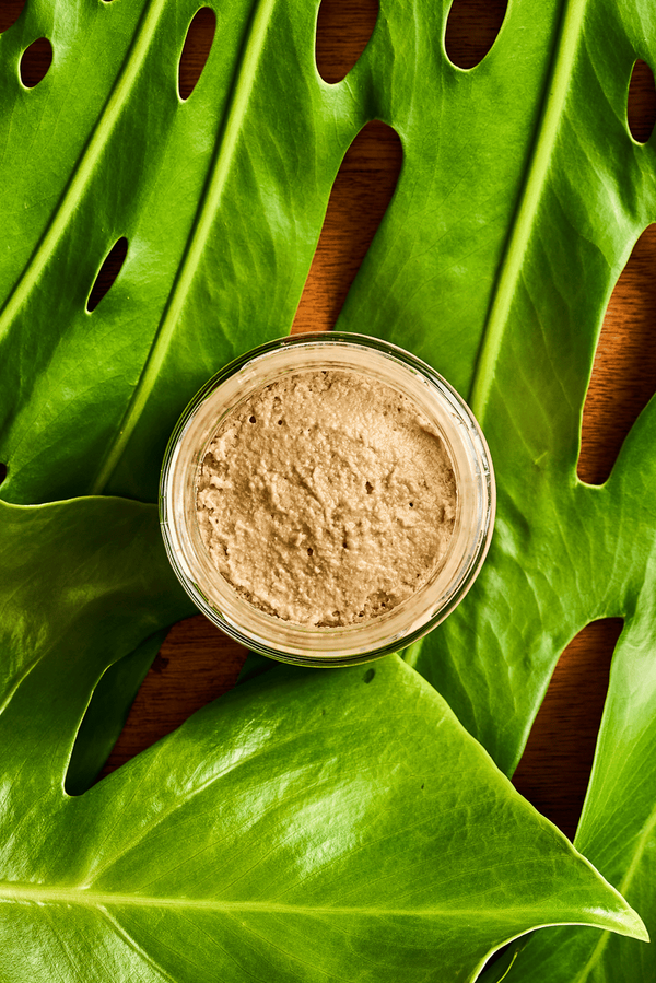 Mousse de Foie de Canard