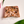 Terrine de Ave e Uvas-Passas